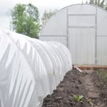 Пленка тепличная (белая), 200мкм, 3м/50м. Прозрачная (парниковая, полиэтиленовая)