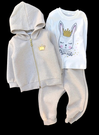 Костюм 3в1: кофта, штани, реглан "Dream big Princess", бавовна, капітон ТМ "Necix's"