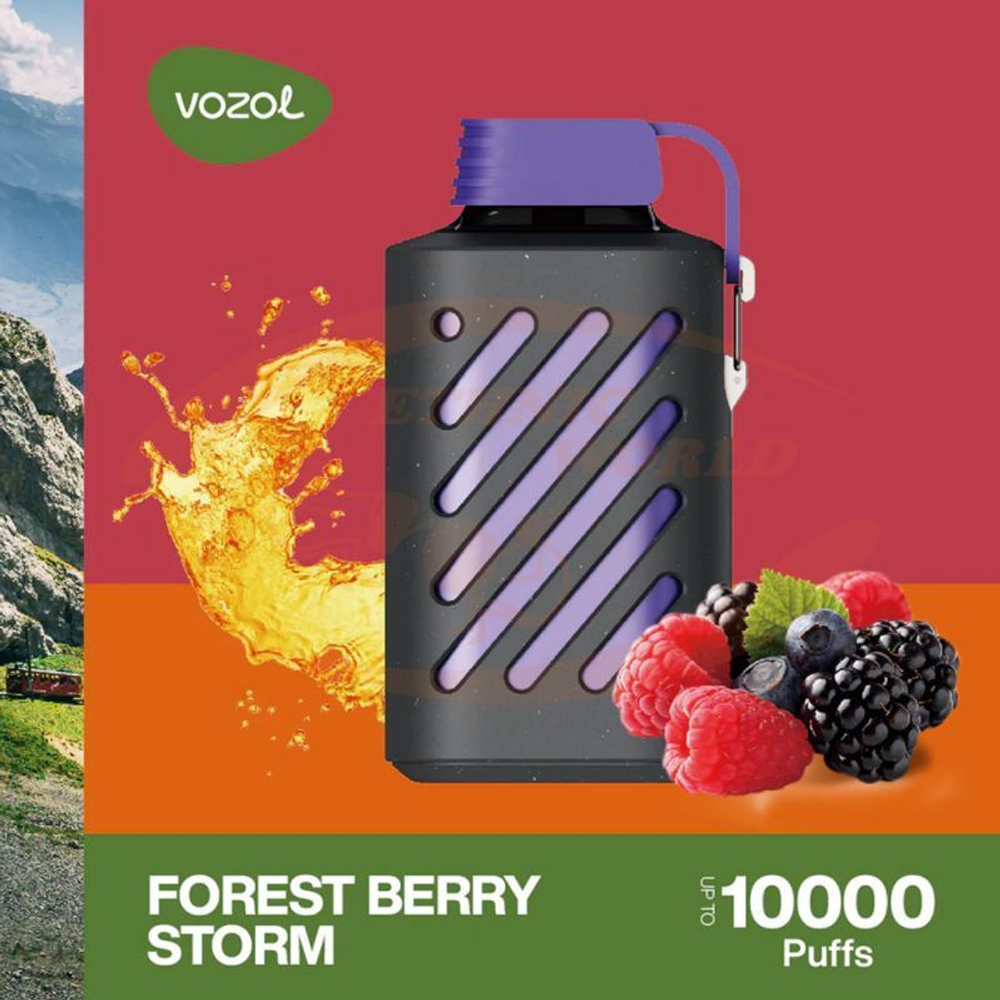 VOZOL GEAR 10000 Forest Berry Storm 5% nic