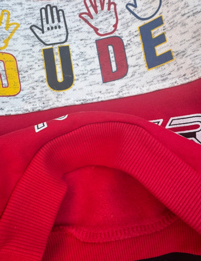 Костюм 2в1: світшот, штани "Never mind" трьохнитка з начосом TM "Pepelino"