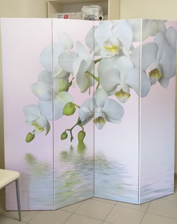 Ширма Орхидея