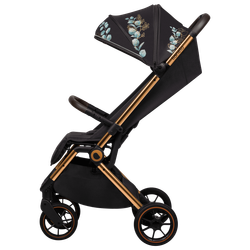 Прогулянкова коляска Lionelo Cloe