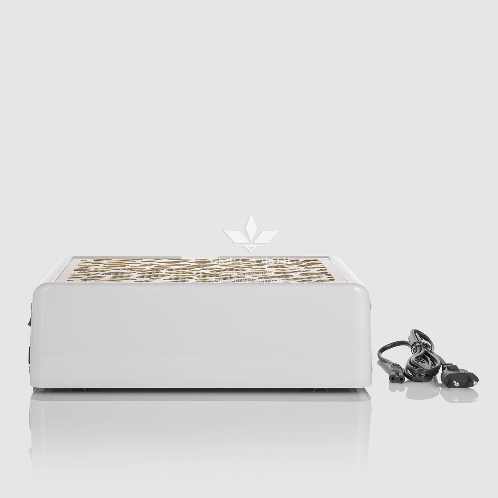 Настольная вытяжка с фильтром Air Max Panther белая gold