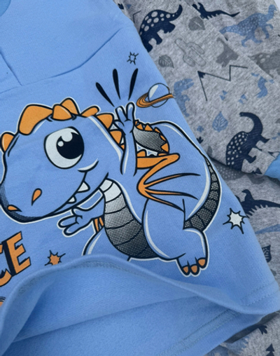 Костюм для дому та сну (піжама) "Діно": реглан,штани, футер  ТМ "Ua"