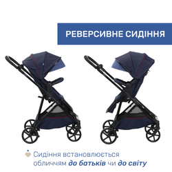 Универсальная коляска 2 в 1 Chicco Seety