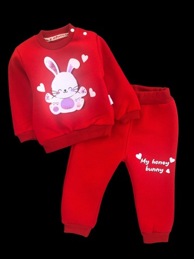 Костюм 2в1: світшот, штани "Зайченятко" трьохнитка з начосом TM "My Pretty Baby"