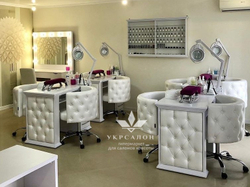Комплект меблів для манікюру ice queen