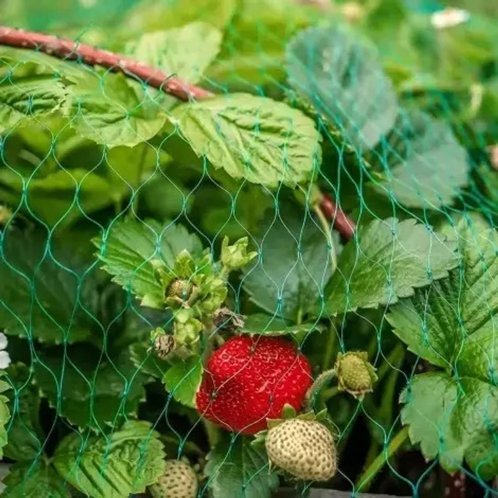 Защитная сетка от птиц 2х10 м (20х20мм). Зеленая. УФ-стабилизированная