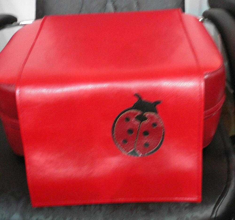 Дитячий пуфик Рекс з аплікацією