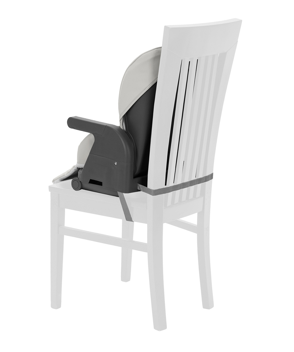 Стульчик для кормления 3 в 1 Carrello Comfort CRL-9506