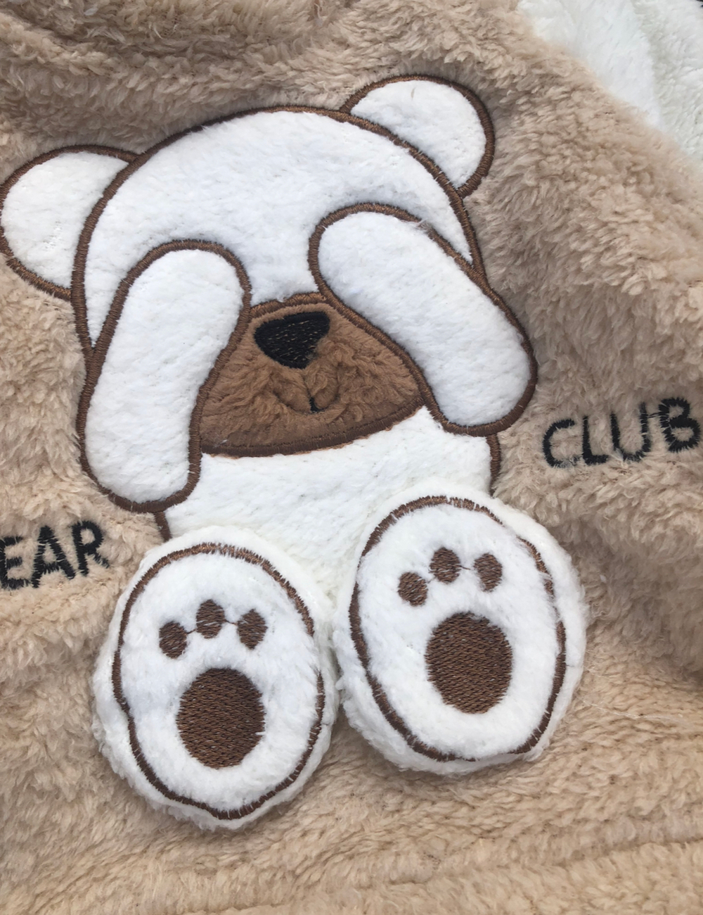 Костюм 2в1: світшот, штани "Bear club", махра ТМ "Murat Baby" (68 см)