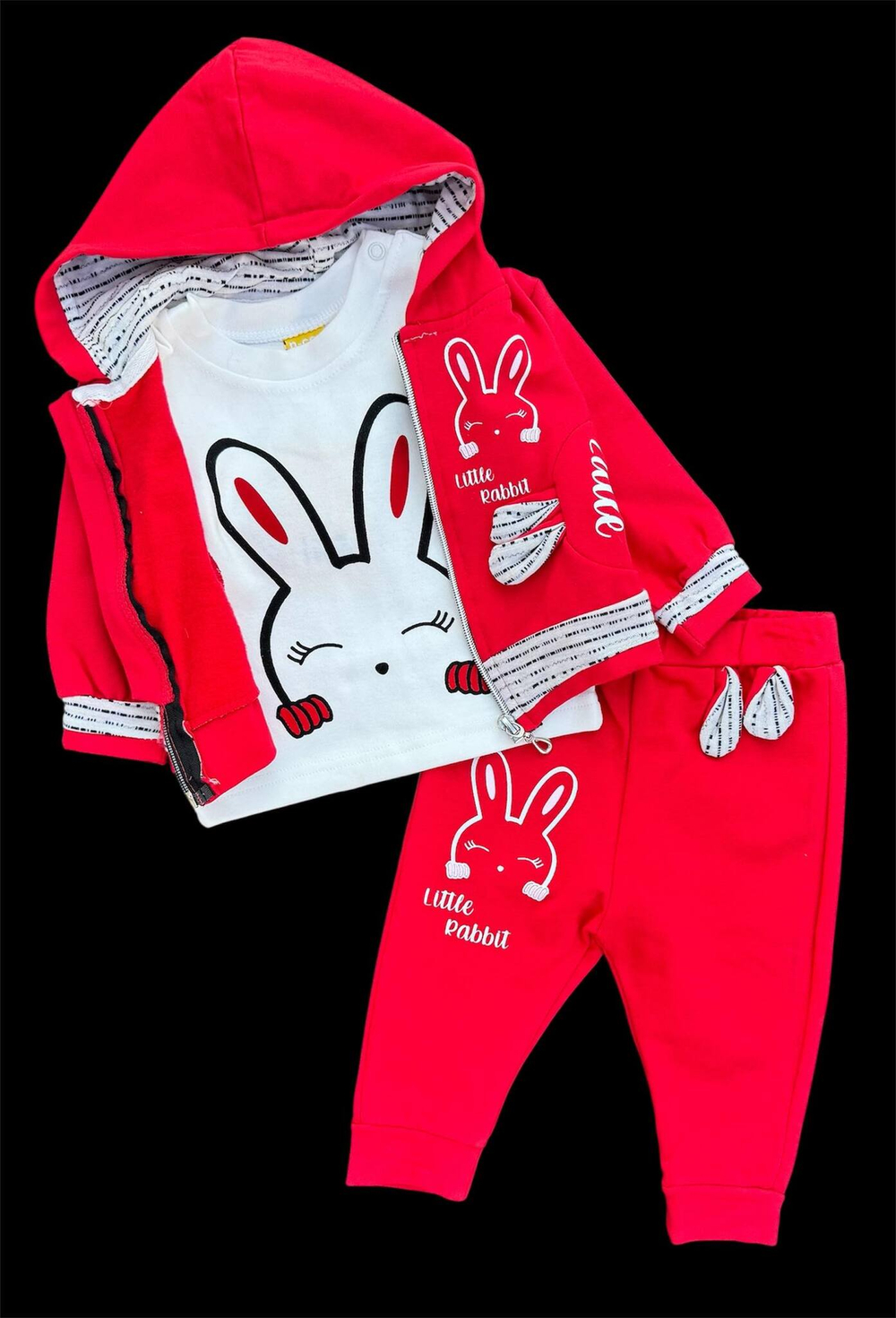 Костюм 3в1: кофта, штани, реглан "Little Rabbit", двунитка з начосом, бавовна ТМ "n-cey"