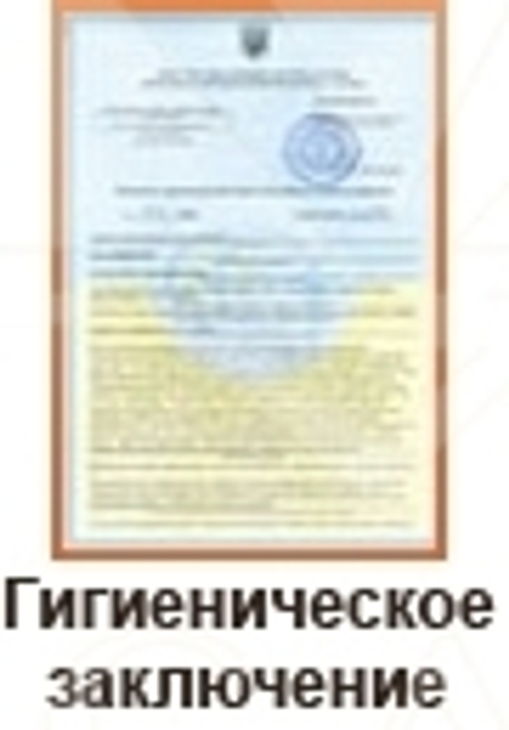 Стул-седло для мастера 854А
