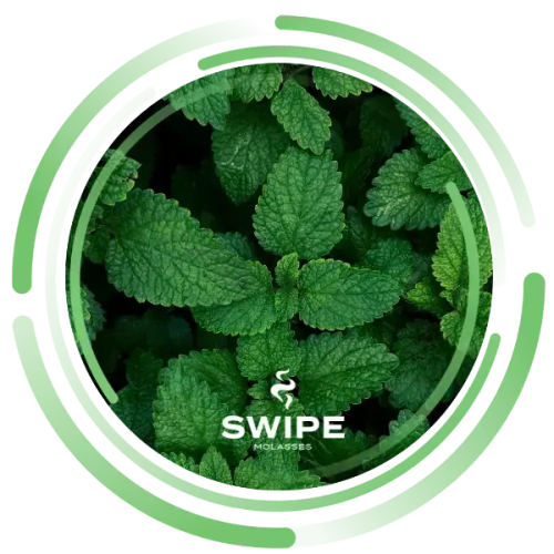 Бестабачная Смесь Swipe Mint (Свайп Мята) 50г
