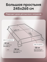 Комплект постельного белья Однотонный Сатин Элитный OCE007