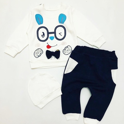 Костюм 3 в 1: реглан, штани, шапочка (68 см)