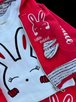 Костюм 3в1: кофта, штани, реглан "Little Rabbit", двунитка з начосом, бавовна ТМ "n-cey"