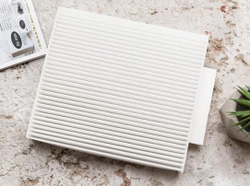 Вбудована витяжка з фільтром Air Max VF 10 Tornado, нержавіюча сталь