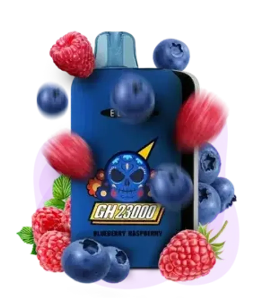 Elf Bar GH23000 - Blueberry Raspberry (5% nic)