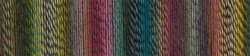 Zauberball Crazy 2528