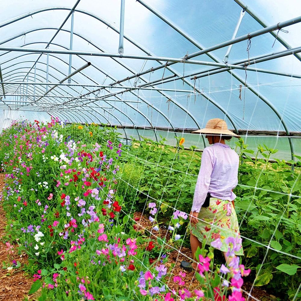 Сетка цветочная (белая) 1х500м. Ячейка 12.5х12.5см.