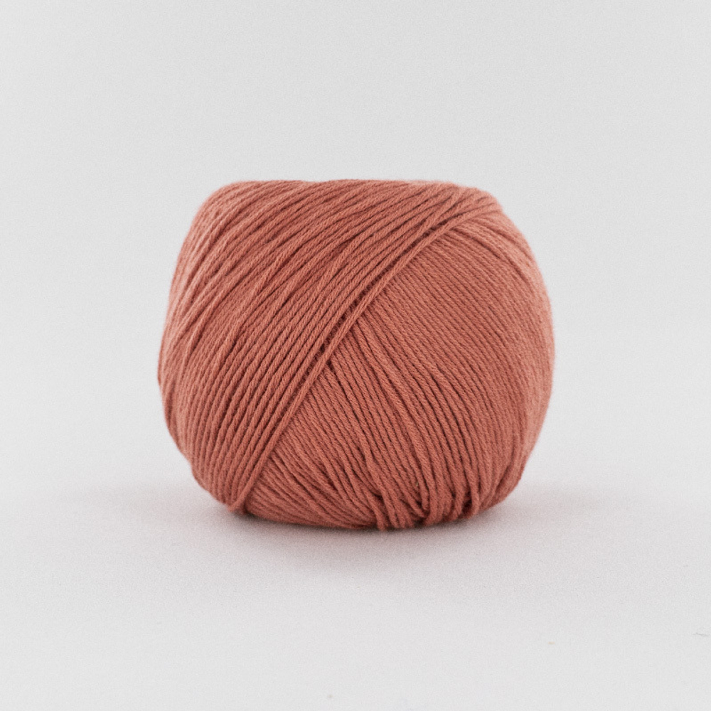 COCACHE 0022