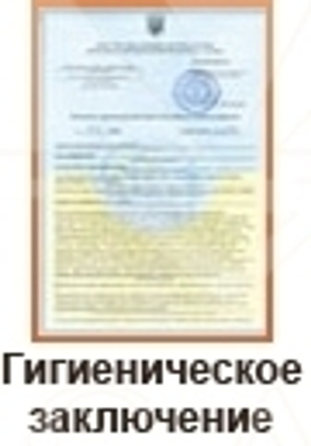 Стул-седло с 3-мя регулировочными механизмами 854