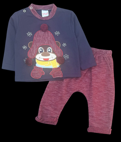 Костюм 2 в 1: світшот, штани, двунитка ТМ "Tofigo" (62 см)