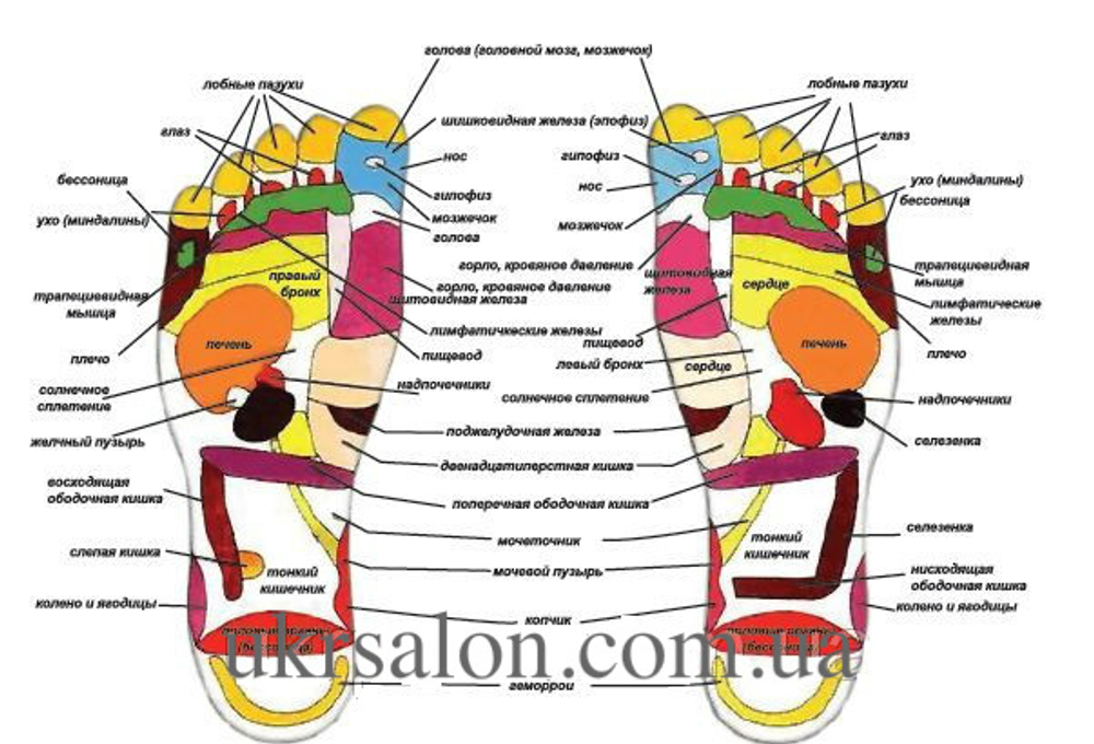 Массажер для ног Shiatsu Foot