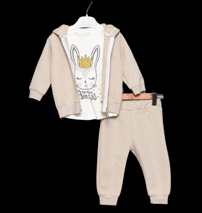 Костюм 3в1: кофта, штани, реглан "Dream big Princess", бавовна, капітон ТМ "Necix's"