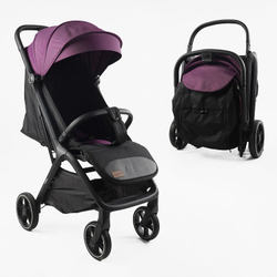 Прогулянкова коляска Joy Willow