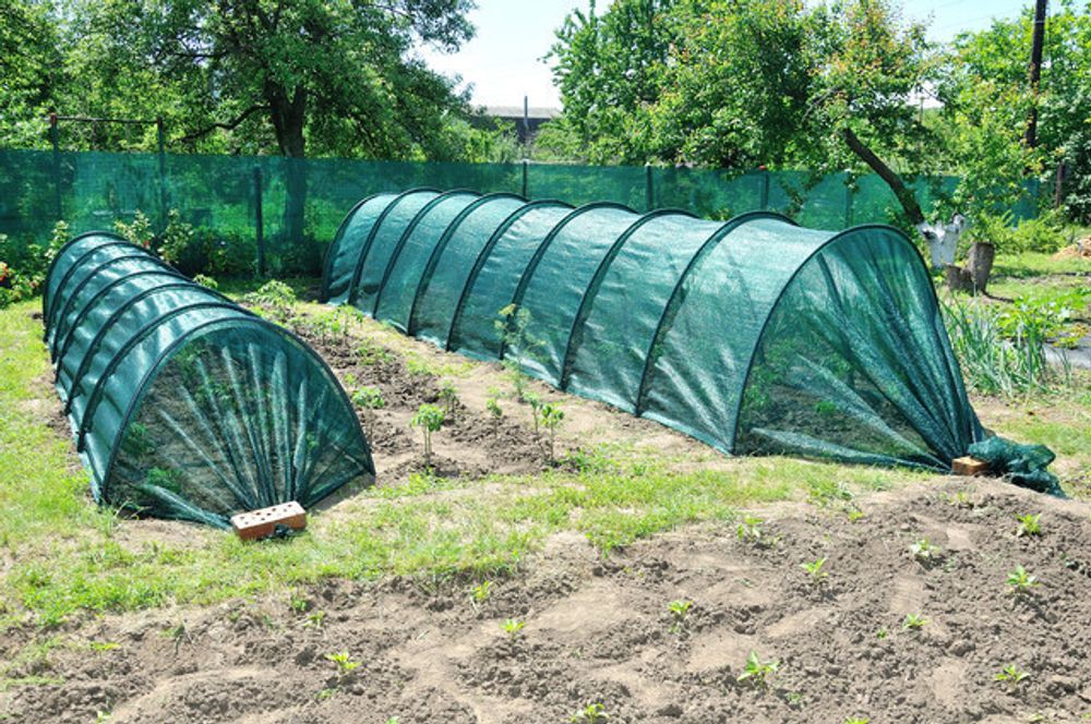 Парник из затеняющей сетки 80% (длинна-6м, ширина-120см, высота-80см,).