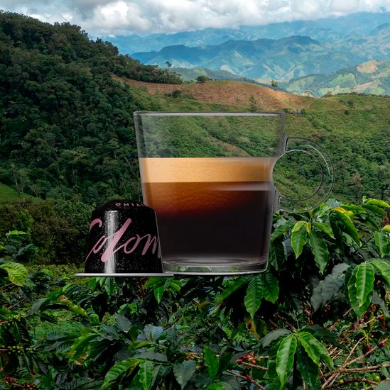 Уникальный кофе Nespresso возрожденный по программе REVIVING ORIGINS