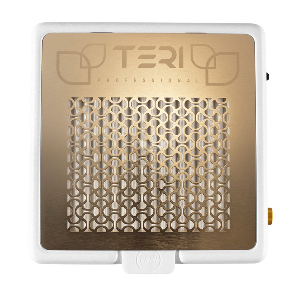 Настольная маникюрная вытяжка с HEPA фильтром Teri 800