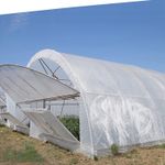 Пленка белая, 80мкм, 6м/50м. Прозрачная (парниковая, полиэтиленовая)