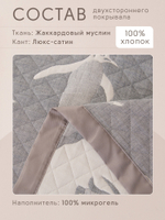 Покрывало двухстороннее Aurora Veil PAV001