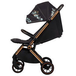 Прогулянкова коляска Lionelo Cloe