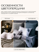 Комплект постельного белья Сатин Velouria Luxe с Одеялом VL013