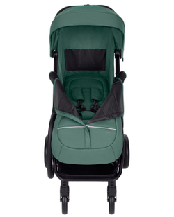 Прогулочная коляска Carrello Nero CRL-5514