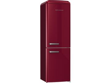 Двокамерний холодильник Gorenje ONRK 619 DR