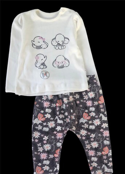 Костюм 2в1: лонгслів, штани "Слоненя", бавовна, двунитка ТМ "Hippil"