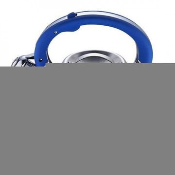 Чайник Lessner 3,0л 49511 mix