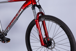 Велосипед горный алюминиевый 29 дюймов Formula Zephyr 1.0 DD CS 2024, рама 21"