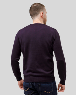 Джемпер чоловічий темно-фіолетовий (арт. 7662300202)