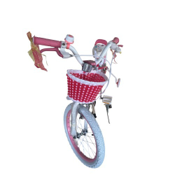 Детский двухколесный велосипед для девочки Royal Baby Stargirl 18 дюймов RB18G-1 с корзиной