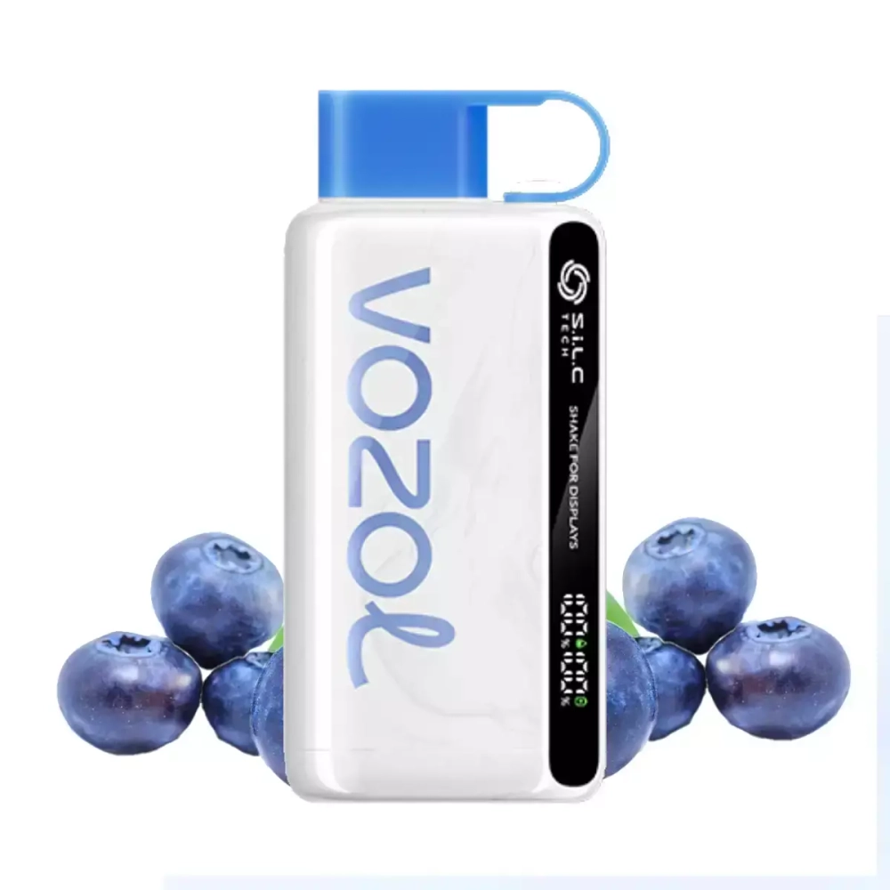 Vozol Star 12000 Blueberry Storm 5%nic