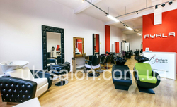 Кресло-мойка THOMAS