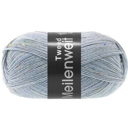 Meilenweit 100 Tweed 171