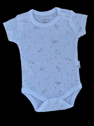 Боді-футболка "Summer", рібана ажур ТМ "Andy Wawa" (68 см)