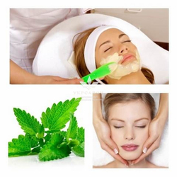 Шейкерная альгинатная маска для лица Волшебный коктейль Instant Peel off mask Spices, Algomask